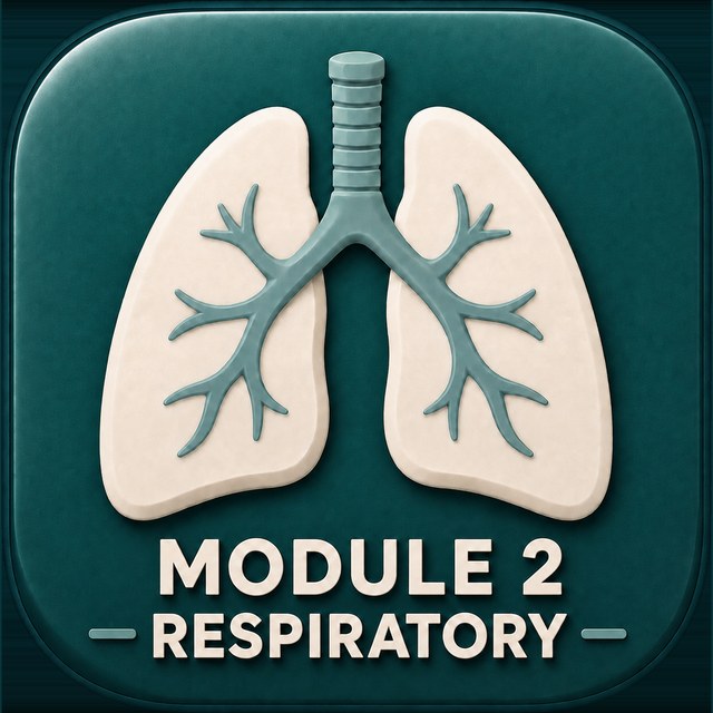 Module 2 — Respiratory