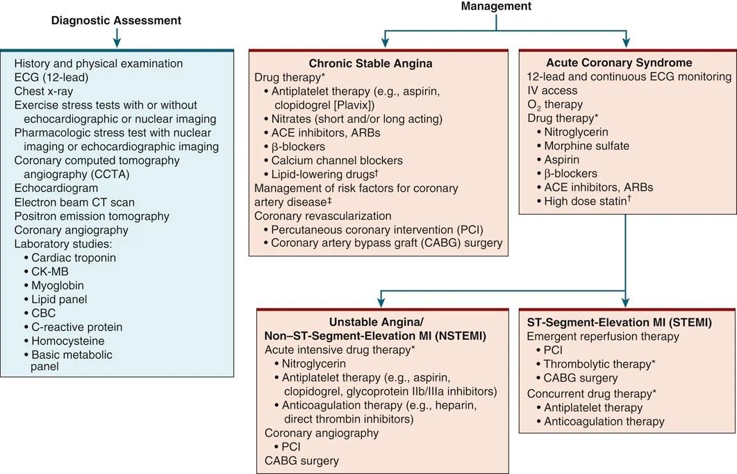 The slide's overview map of assessment and management across chronic stable angina, unstable angina/NSTEMI, and STEMI.