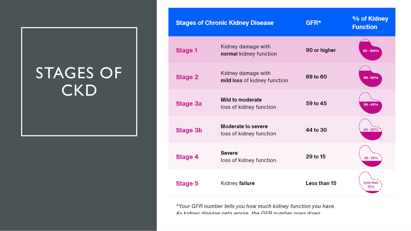 Her staging table, shown as an image with no words of her own printed beside it. Read the right-hand column as a timeline rather than a set of labels: the action plan moves from slowing progression, to treating complications, to preparing for replacement - which is why stage 4 is the one with a referral attached.