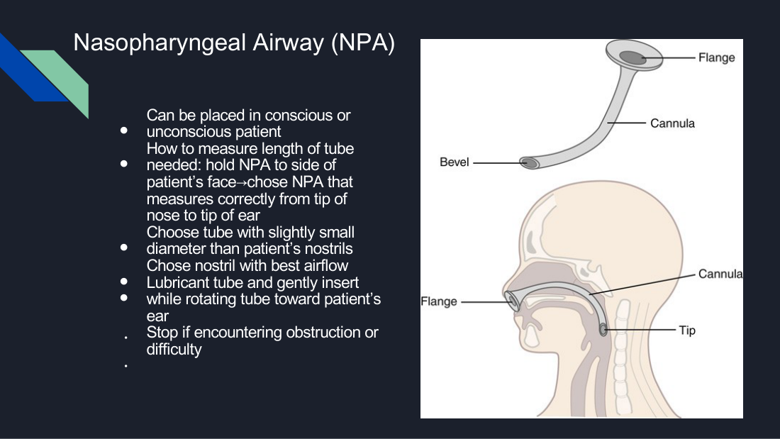 Her nasopharyngeal airway slide, showing the nose-to-ear measurement against the face. Note the material — soft and flexible, which is why a conscious patient tolerates it.
