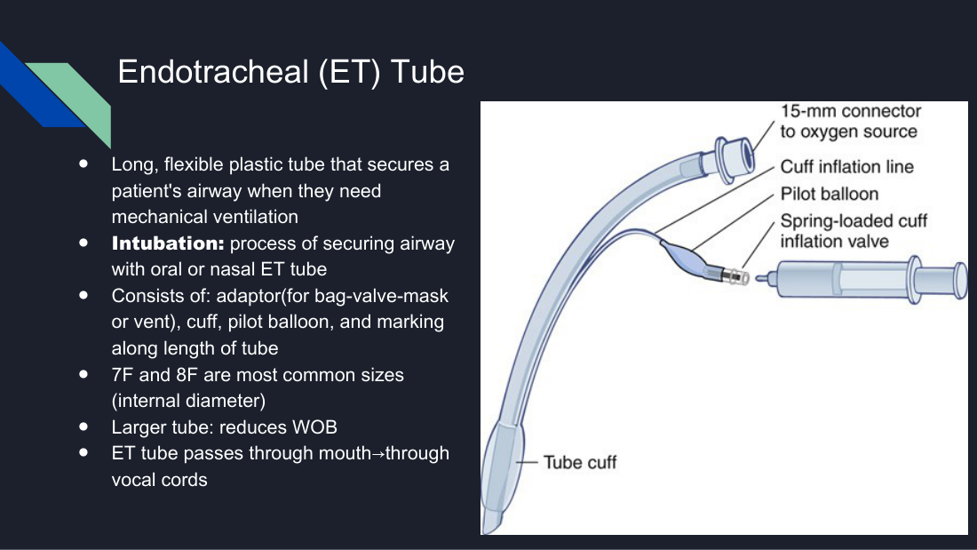 Her labelled endotracheal tube: 15-mm connector, cuff, pilot balloon, inflation valve, and the depth markings along the shaft. The markings are what you record at the lip or teeth every shift.