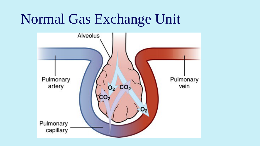 Her normal gas exchange unit. Trace the direction of flow: pulmonary artery in (deoxygenated), gas exchange at the alveolar-capillary membrane, pulmonary vein out (oxygenated). Fix this picture — she returns to it for V/Q mismatch, shunt, diffusion impairment, and ARDS.